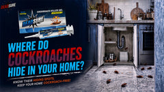 Where Do Cockroaches Hide in Your Home? 15 Places to Check Before They Spread