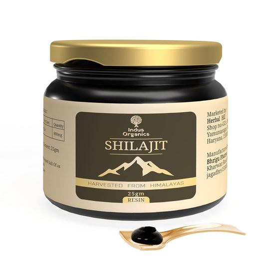 Pure Himalayan Shilajit Resin - 25gm